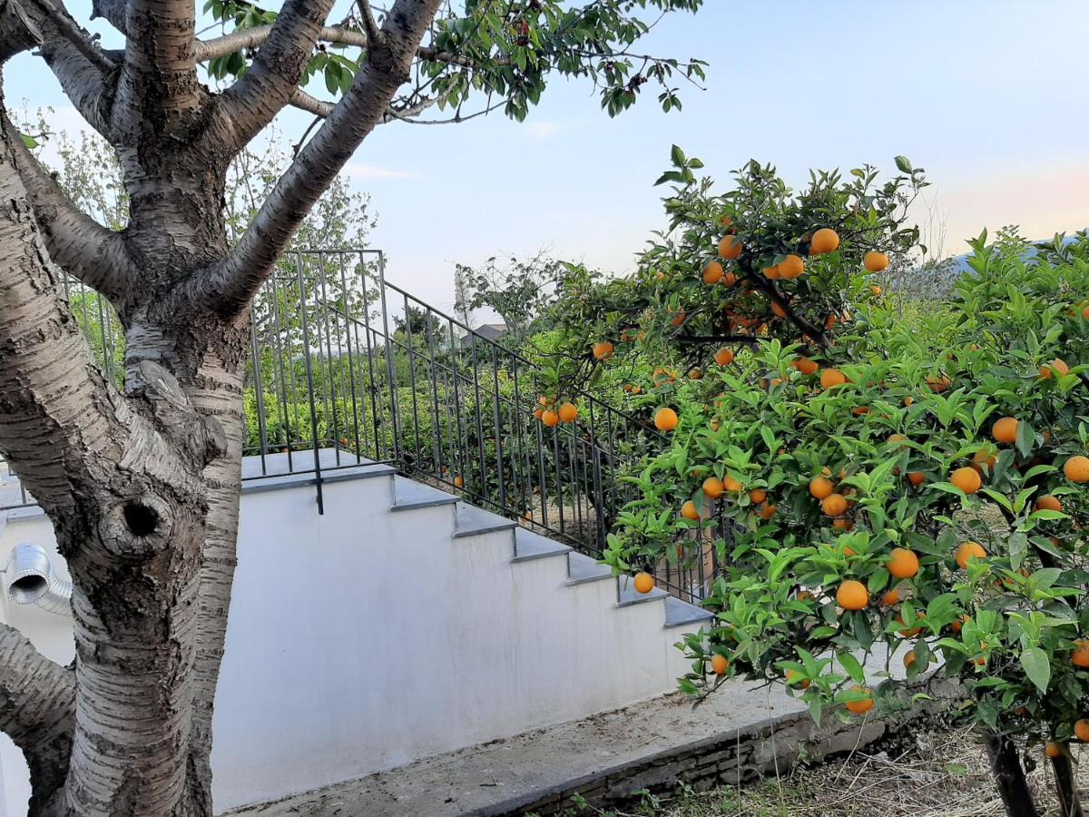 Zagara Villa Mascali Buitenkant foto