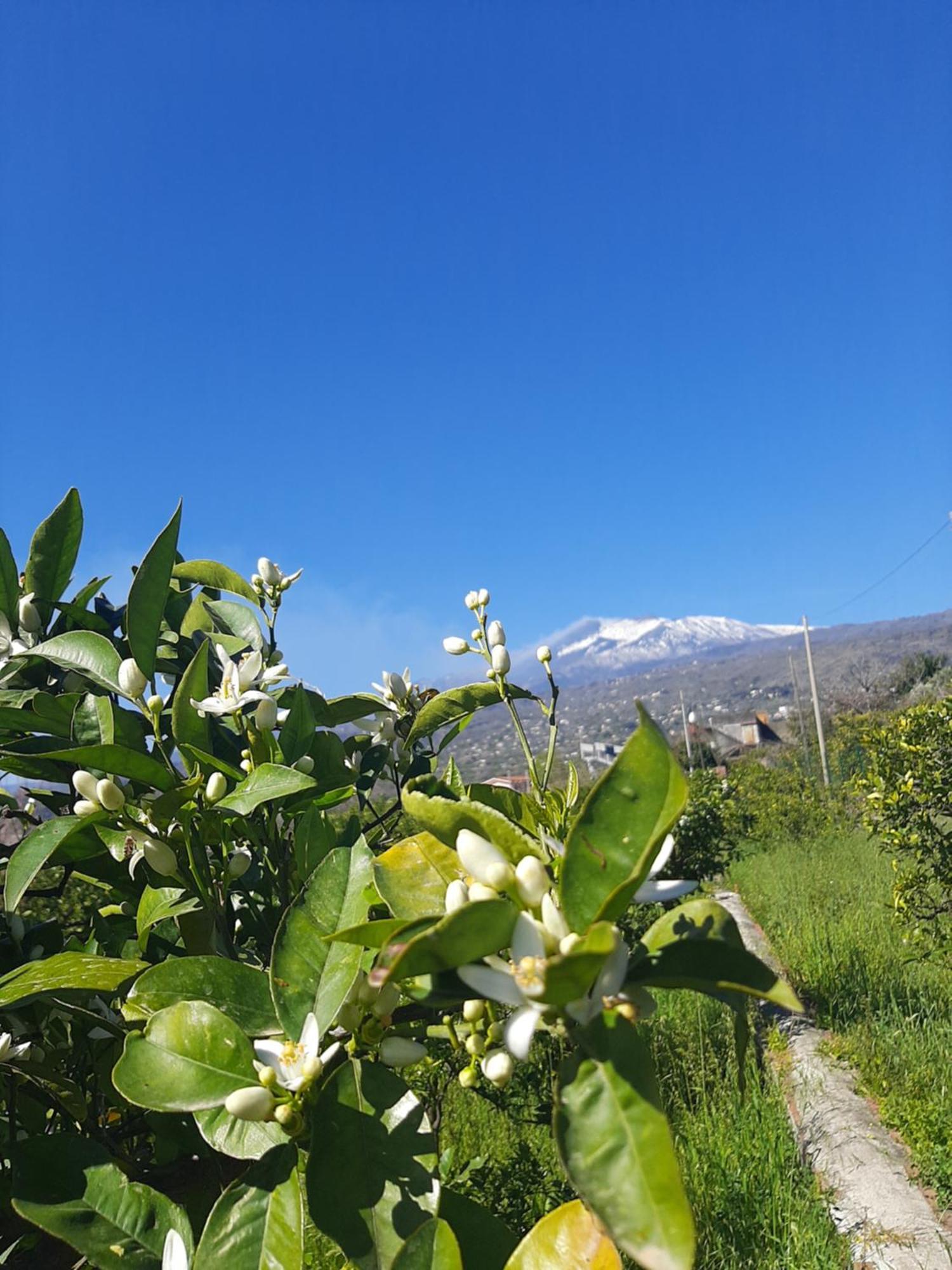 Zagara Villa Mascali Buitenkant foto